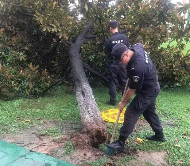 C:/Users/BA/Desktop/風(fēng)雨過(guò)后南京保安迅速行動(dòng)，恢復(fù)安“寧”面貌/10.jpg10