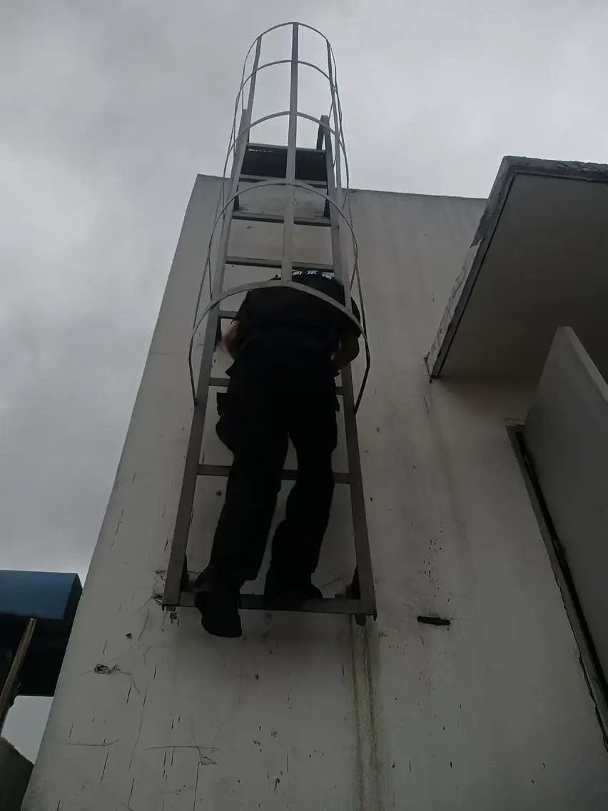 C:/Users/BA/Desktop/風(fēng)雨過(guò)后南京保安迅速行動(dòng)，恢復(fù)安“寧”面貌/3.jpg3